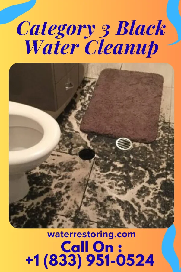 Category 3 Black Water Cleanup in Gillham, AR